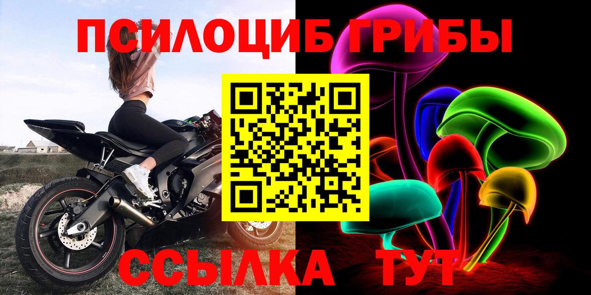Можайск  Псилоцибиновые грибы GOLDEN TEACHER  Вход с VPN 